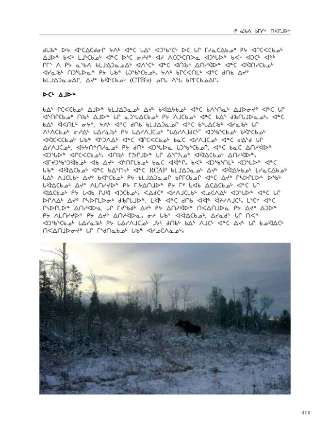 2012 CNC AReport_4L_N_LR_v2 - page 411